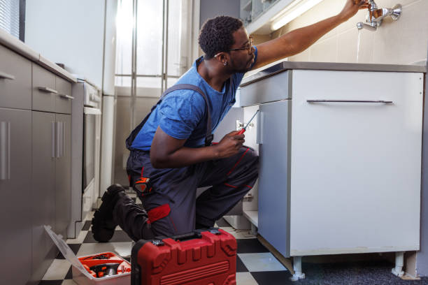 Best Toilet Repair Services  in Poncha Springs, CO